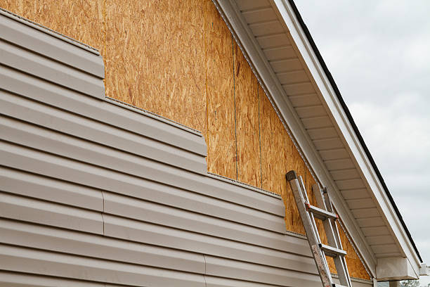 Professional Wood Siding technician working in Homosassa, FL